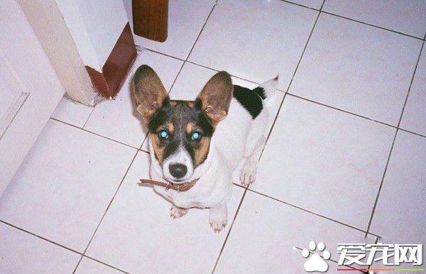 时间与回忆都静止了 谷歌地图带你回忆过去