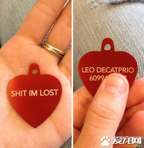 这些歪果人毛小孩吊牌 超有趣的搞怪内容