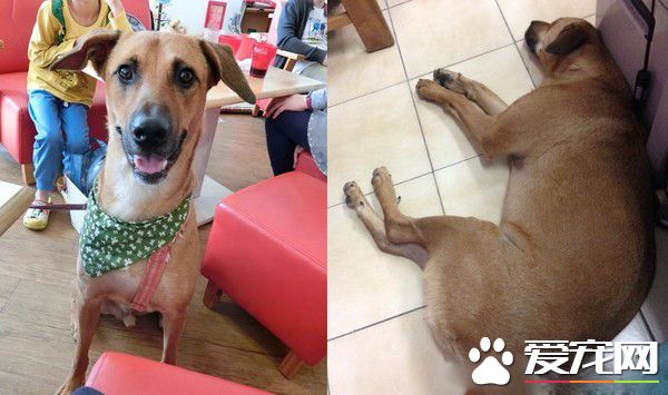 阿公不舍金孙回家 霸气传简讯这个月放我这