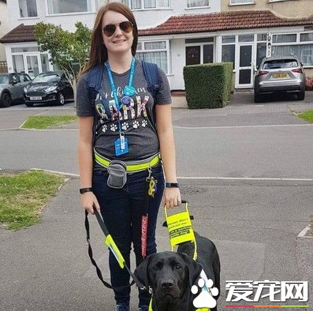 盲人被骂骗子赶下公车 无知妇女:导盲犬没有黑的