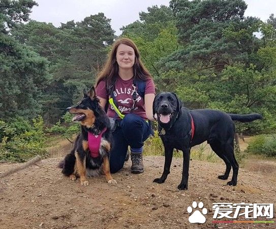 盲人被骂骗子赶下公车 无知妇女:导盲犬没有黑的