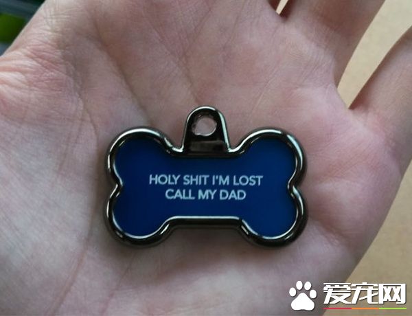 这些歪果人毛小孩吊牌 超有趣的搞怪内容