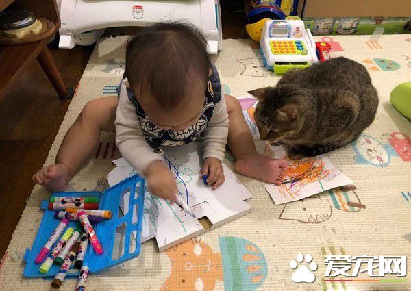 吸猫运动请从小做起 小小年纪就有专业猫奴气质