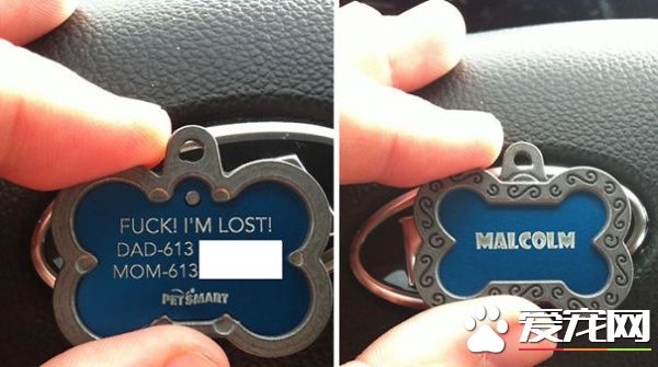 这些歪果人毛小孩吊牌 超有趣的搞怪内容