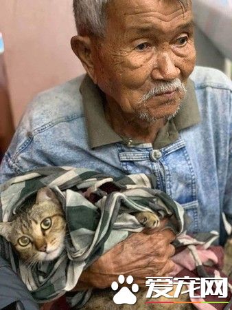 台风来袭泰国南部 老爷爷紧紧抱着爱猫逃难