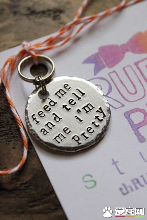 这些歪果人毛小孩吊牌 超有趣的搞怪内容