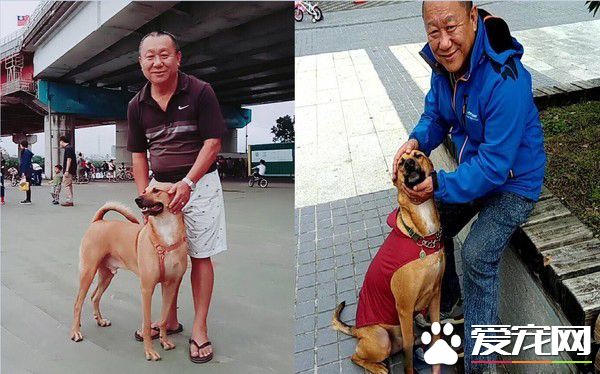 阿公不舍金孙回家 霸气传简讯这个月放我这