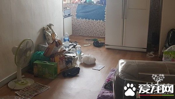 南韩发生虐狗悲剧 狗被关空屋惨遭活活饿死