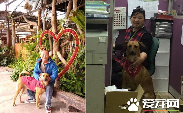 阿公不舍金孙回家 霸气传简讯这个月放我这