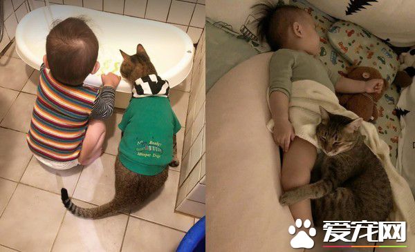 吸猫运动请从小做起 小小年纪就有专业猫奴气质