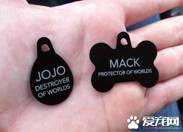 这些歪果人毛小孩吊牌 超有趣的搞怪内容