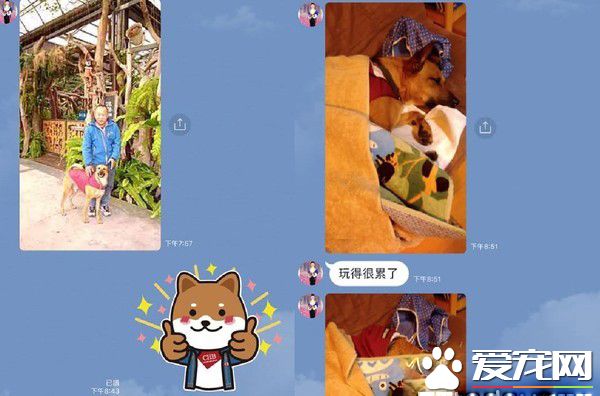 阿公不舍金孙回家 霸气传简讯这个月放我这