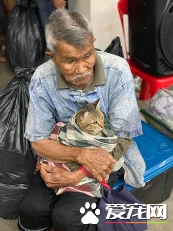 台风来袭泰国南部 老爷爷紧紧抱着爱猫逃难