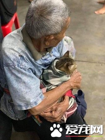 台风来袭泰国南部 老爷爷紧紧抱着爱猫逃难