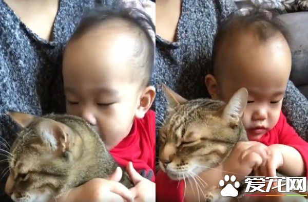 吸猫运动请从小做起 小小年纪就有专业猫奴气质