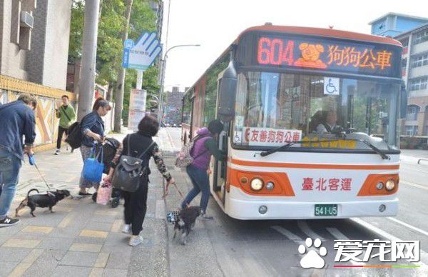 狗狗公交来了运营已近两年 一起打造友善城市