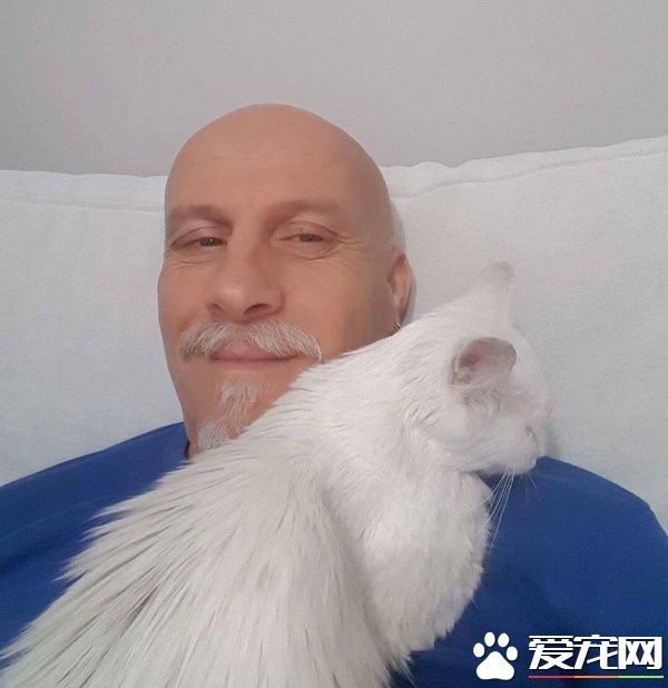 猫咪鬼门关前走了一回 因祸得福获真命猫奴