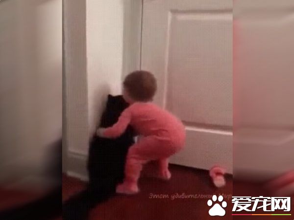 太矮了构不到门把 猫咪成功帮小主人开门