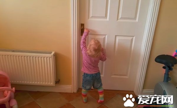 小主人推不开门怎么办 汪帮忙破解这个任务