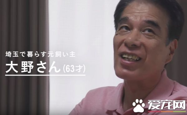 猫咪到底认得主人声音吗？答案在这支广告里