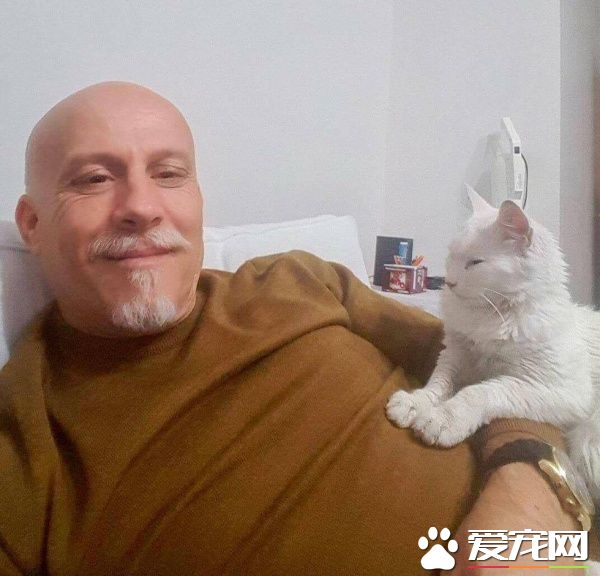 猫咪鬼门关前走了一回 因祸得福获真命猫奴