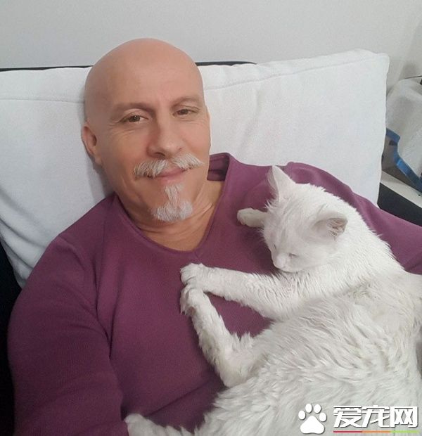 猫咪鬼门关前走了一回 因祸得福获真命猫奴