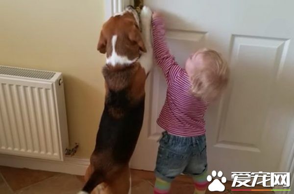 小主人推不开门怎么办 汪帮忙破解这个任务