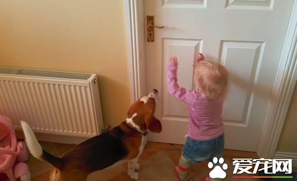 小主人推不开门怎么办 汪帮忙破解这个任务