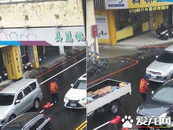 米克斯狗狗对阿伯一见钟情 每天跟着卖玉兰花