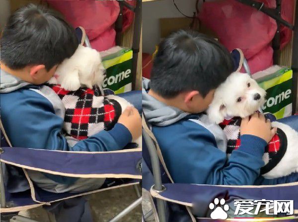 小哥哥抱着米克斯狂吸 汪无奈向妈妈求救