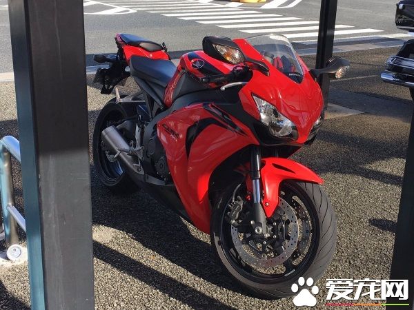 重机遭窃车主超心急 原来爱猫遗物一起不见了