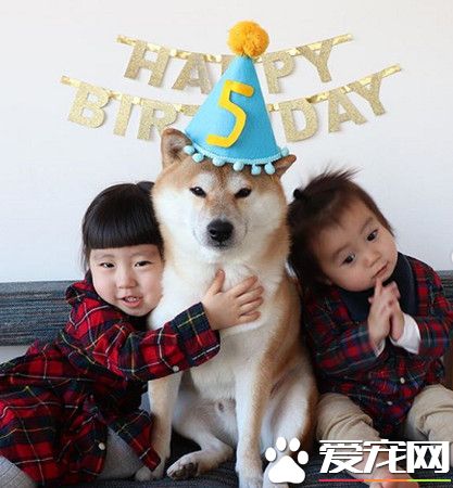 最爱的就是哥哥! 女孩紧抱柴哥哥超幸福画面