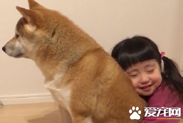 最爱的就是哥哥! 女孩紧抱柴哥哥超幸福画面