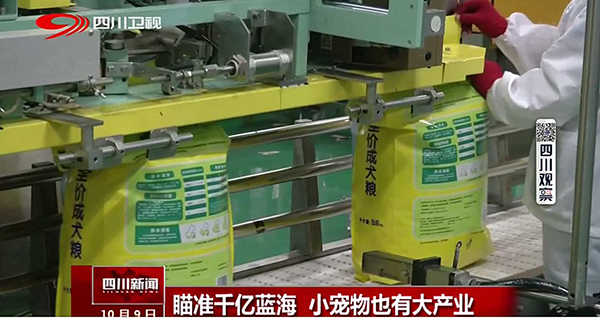 四川卫视聚焦好主人公司:瞄准千亿蓝海,小宠物也有大产业!