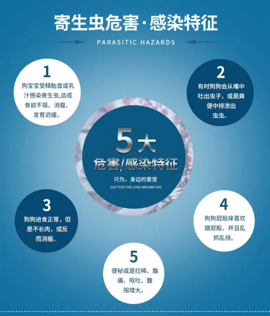 狗狗驱虫药什么牌子好？“国货之光”雷米高驱虫药坚持用质量发声