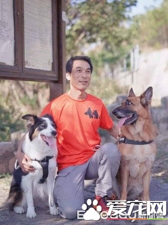 搜救犬瓦砾堆搜救5分钟完成 曾遭弃养收容所