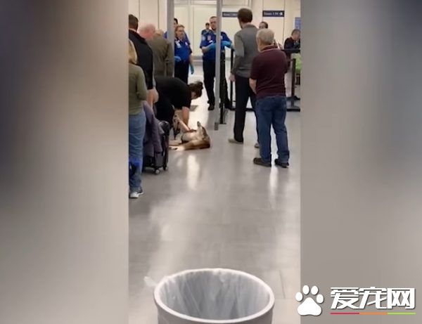 月月心情不美丽倒安检门前 害后方旅客塞大长龙