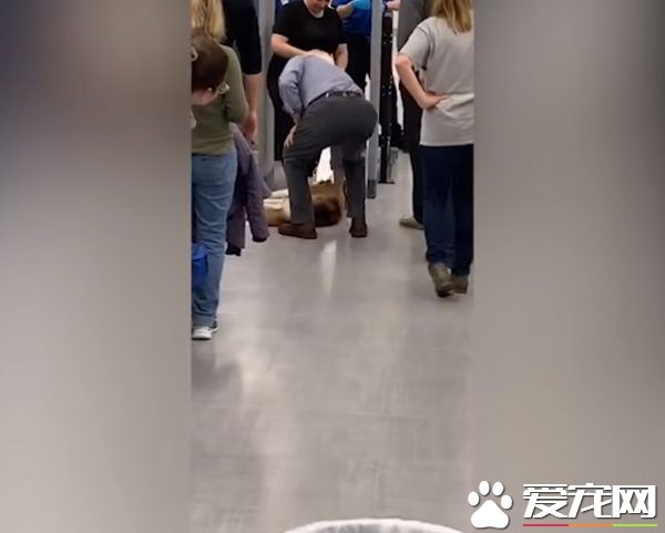 月月心情不美丽倒安检门前 害后方旅客塞大长龙