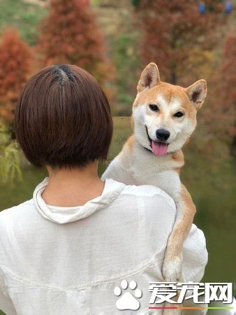 柴谨守和马麻的秘密约定 暖心守护罕病女孩2年