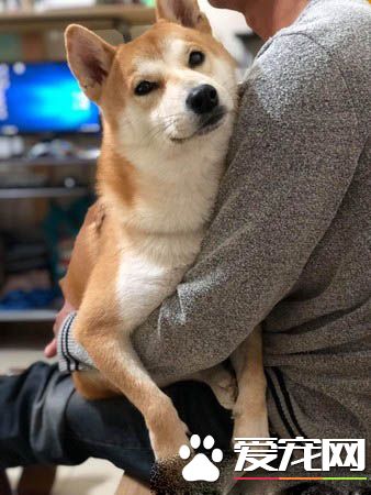 柴谨守和马麻的秘密约定 暖心守护罕病女孩2年