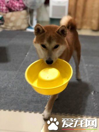 柴谨守和马麻的秘密约定 暖心守护罕病女孩2年