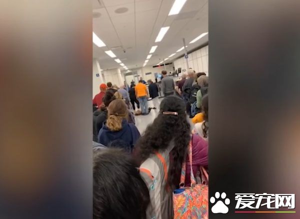 月月心情不美丽倒安检门前 害后方旅客塞大长龙