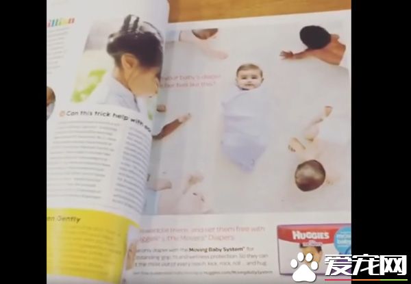 只要有它在就没有隐私 拉布拉多全面监视妈妈