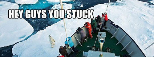 巧遇北极熊 帮忙推船的创意剧情超可爱