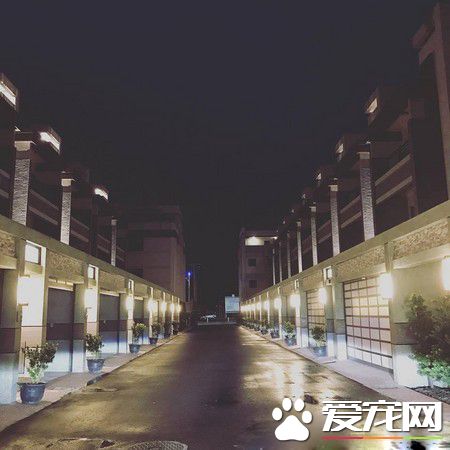 准备洗澡爱犬突然吼叫 浴室玻璃爆裂救主人一命