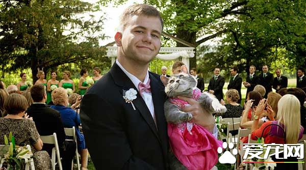 毕业舞会没有女伴 但有盛装打扮的喵伴超有面子