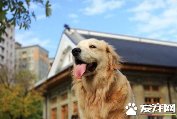 妹妹真的回来了! 阿金癌症逝去变成女婴回来