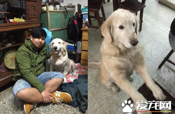 妹妹真的回来了! 阿金癌症逝去变成女婴回来