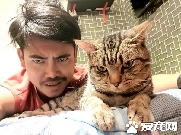 好奇猫主子晚上在干嘛 意外拍下主子对他浓烈爱意