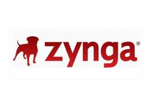 所谓别人家的公司 都是带着宠物去上班